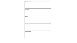 Circunferencia
Mediatriz
Bisectriz
Paralelas
Paralela media
 