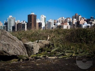 Apresentação elaborada pela Professora FERNANDA BRUM LOPES, disciplina de Geografia
 