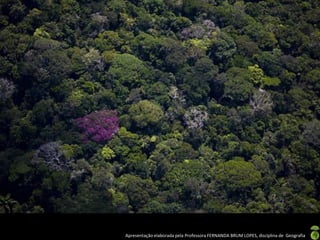 Apresentação elaborada pela Professora FERNANDA BRUM LOPES, disciplina de Geografia
 