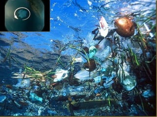 Apresentação elaborada pela Professora FERNANDA BRUM LOPES, disciplina de Geografia
 