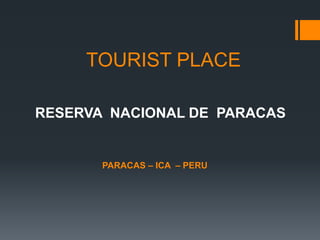 RESERVA NACIONAL DE PARACAS
PARACAS – ICA – PERU
TOURIST PLACE
 