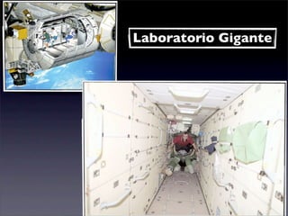 Laboratorio Gigante
 