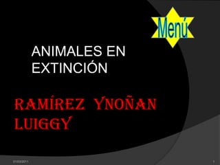 ANIMALES EN
             EXTINCIÓN

Ramírez Ynoñan
Luiggy

01/03/2011                 1
 