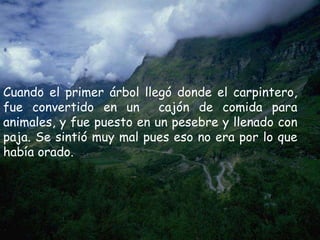 Cuando el primer árbol llegó donde el carpintero, fue convertido en un  cajón de comida para animales, y fue puesto en un pesebre y llenado con paja. Se sintió muy mal pues eso no era por lo que había orado. 