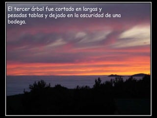 El tercer árbol fue cortado en largas y pesadas tablas y dejado en la oscuridad de una bodega.