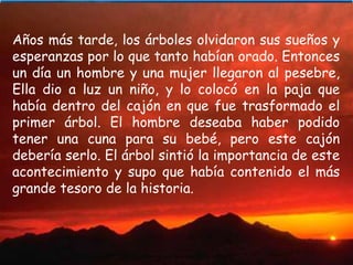 Años más tarde, los árboles olvidaron sus sueños y esperanzas por lo que tanto habían orado. Entonces un día un hombre y una mujer llegaron al pesebre, Ella dio a luz un niño, y lo colocó en la paja que había dentro del cajón en que fue trasformado el primer árbol. El hombre deseaba haber podido tener una cuna para su bebé, pero este cajón debería serlo. El árbol sintió la importancia de este acontecimiento y supo que había contenido el más grande tesoro de la historia.