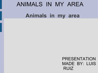 ANIMALS IN MY AREA
  Animals in my area




              PRESENTATION
              MADE BY: LUIS
              RUIZ
 