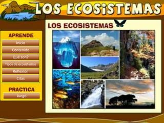 Inicio
    Contenido
    Qué son?
Tipos de ecosistemas
     Reflexión
       Citas



       Juego
 