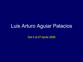 Luis Arturo Aguiar Palacios Dal 4 al 27 Aprile 2008 