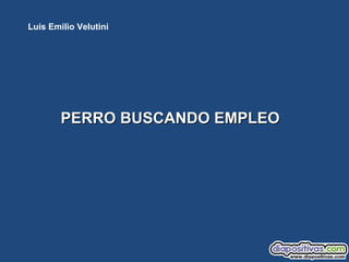 PERRO BUSCANDO EMPLEOPERRO BUSCANDO EMPLEO
Luis Emilio Velutini
 