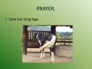 PRAYER.
• Sara has long legs.
 