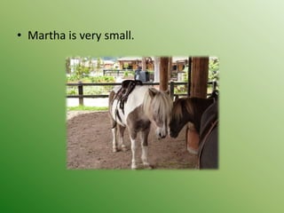 • Martha is very small.
 