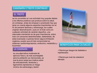 es una alternativa moderada de
ejercicio físico y la más aconsejable
para la población ya mencionada, ya
que la poca carga que implica sobre
las articulaciones, tendones y
ligamentos representa un riesgo
mínimo de sobrecarga y lesión.
CAMINATA Y TROTE CONTINUO
se ha convertido en una actividad muy popular debido
a los efectos positivos que produce sobre la salud,
sin embargo, antes de empezar a practicarlo hay que
tener en cuenta algunos aspectos importantes con el
fin de prevenir lesiones y sobrecarga, los cuales
originan desmotivación, pues en el trote como en
cualquier actividad de carácter deportivo, una
adecuada orientación es de gran importancia, sobre
todo con personas desentrenadas, sedentarias, de
edad avanzada o quienes tienen alguna limitación
orgánica, puesto que el trote compromete los
sistemas cardiorrespiratorios, endocrino, metabólico y
locomotor. BENEFICIOS PARA LA SALUD
Disminuye riesgos de diabetes e
hipertensión.
Disminuye nivel de colesterol
elevado.
EL TROTE
LA CAMINATA
 