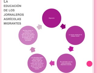 LA
EDUCACIÓN
DE LOS
JORNALEROS
Migración

AGRÍCOLAS
MIGRANTES
Muchas veces no
cuentan con
documentos y que
rara vez hay registros
de sus avances que
se acepten en otras
modalidades
escolares

Los docentes tienen
que establecer
también reglas de
convivencia que
eviten este fenómeno
y muchas veces no
tienen ni el tiempo ni
la energía para
hacerlo.

La causa central es el
trabajo infantil.

No coinciden con los
ciclos escolares,
Abandono escolar,

 