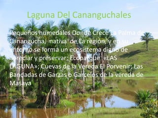 Cascada Natural san Rafael, En La vereda Santa Teresa.