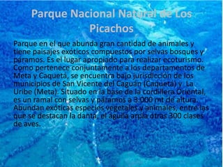 La Laguna del ChairáUbicada en los alrededores de Cartagena del Chairá, posee aproximadamente 8 km de extensión, es ideal para el descanso y la pesca. Allí se aprecian las hermosas orquídeas silvestres y lotos. La laguna es fuente casi única para el sustento de los colonos que habitan cerca.Hermosa Laguna, cuna de leyendas, donde se pueden observar bellísimas especies de orquídeas, la flor nacional, de lotos; además que es una laguna rica es pesca y plantas acuáticas.