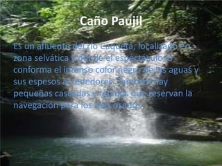 Isla del amor Formada en el río Caguán a cinco minutos de Cartagena del Chairá. Es un espacio muy frecuentado por los habitantes del municipio, quienes además de la naturaleza disfrutan de canchas deportivas, kioscos, árboles frutales y restaurante.