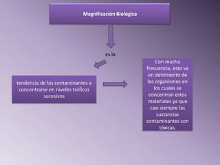 Magnificación Biológica




                                      es la
                                                            Con mucha
                                                       frecuencia, esto va
                                                        en detrimento de
tendencia de los contaminantes a                        los organismos en
 concentrarse en niveles tróficos                          los cuales se
           sucesivos                                     concentran estos
                                                        materiales ya que
                                                          casi siempre las
                                                             sustancias
                                                       contaminantes son
                                                               tóxicas.
 