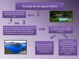 Ecología de las Aguas Dulces
El agua constituye una sustancia
esencial para el desarrollo de la
              vida.



      Es la


sustancia más abundante en el protoplasma de los                           En cuanto a las masas de aguas
seres vivos. En todos los continentes existen                             continentales podemos distinguir
masas de agua dulce más o menos extensas que                                         dos tipos:
forman lagos, lagunas, ríos, riachuelos y barran




                                                                                               Aguas lénticas o
                                                                                         estancadas: comprenden
                                                   Aguas lóticas o corrientes:          las aguas interiores que no
                                                    incluyen todas las masas                 presentan corriente
                                                     de agua que se mueven                 continua. A este grupo
                                                     continuamente en una                   pertenecen todos los
                                                        misma dirección.                  lagos, lagunas, charcas y
                                                                                                   pantanos
 