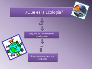 ¿Que es la Ecología?

           Es el



 conjunto de conocimientos
        relacionados



            con



   todos los seres vivos y su
           ambiente
 