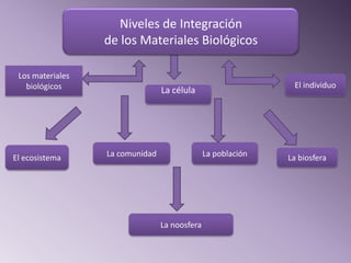 Niveles de Integración
                  de los Materiales Biológicos

 Los materiales
   biológicos                                                  El individuo
                                 La célula




El ecosistema     La comunidad                 La población   La biosfera




                                 La noosfera
 