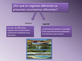 ¿Por qué en regiones diferentes se
      presentan ecosistemas diferentes?



                    Primero   segundo
Por que las diferentes
                              usualmente las plantas y animales
regiones del mundo tienen
                              están específicamente adaptadas
condiciones climáticas muy
                              a condiciones particulares.
diferentes.
 