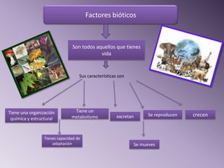 Factores bióticos



                               Son todos aquellos que tienes
                                           vida


                                   Sus características son




Tiene una organización          Tiene un
                               metabolismo            excretan     Se reproducen   crecen
 química y estructural


                 Tienes capacidad de
                     adaptación                              Se mueves
 