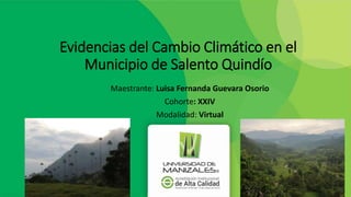 Evidencias del Cambio Climático en el
Municipio de Salento Quindío
Maestrante: Luisa Fernanda Guevara Osorio
Cohorte: XXIV
Modalidad: Virtual
 