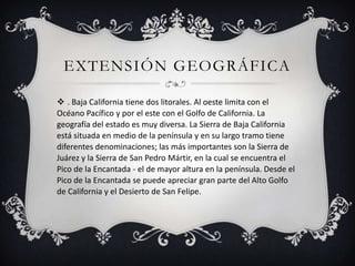 EXTENSIÓN GEOGRÁFICA

 . Baja California tiene dos litorales. Al oeste limita con el
Océano Pacífico y por el este con el Golfo de California. La
geografía del estado es muy diversa. La Sierra de Baja California
está situada en medio de la península y en su largo tramo tiene
diferentes denominaciones; las más importantes son la Sierra de
Juárez y la Sierra de San Pedro Mártir, en la cual se encuentra el
Pico de la Encantada - el de mayor altura en la península. Desde el
Pico de la Encantada se puede apreciar gran parte del Alto Golfo
de California y el Desierto de San Felipe.
 