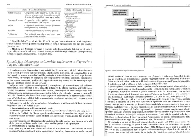 Luisa saiani anna brugnolli trattato di cure infermieristiche