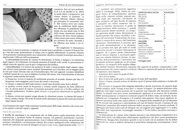 Luisa saiani anna brugnolli trattato di cure infermieristiche