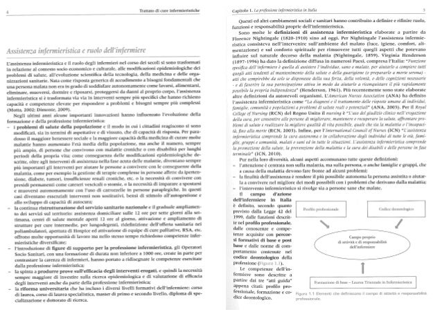 Luisa saiani anna brugnolli trattato di cure infermieristiche