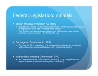 Federal Legislation: Animals
!  Marine Mammal Protection Act (1972)
!  prohibits the ‘taking’ of any marine mammals – which means in the U.S. it
is illegal to kill, hunt, trap or harass these species
!  Fact: The first international agreement to address wildlife conservation involved
protecting a marine mammal ! the Northern fur seal
!  Endangered Species Act (1973)
!  Provides for the conservation of endangered and threatened species as
well as the ecosystems and habitats upon which they depend
!  International Whaling Commission (IWC)
!  An intergovernmental (international) governing body charged with the
conservation of whales and management of whaling
 