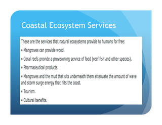 Coastal Ecosystem Services
 