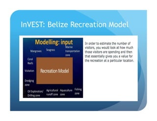 InVEST: Belize Recreation Model
 