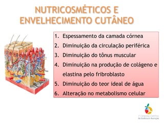 1. Espessamento da camada córnea
2. Diminuição da circulação periférica
3. Diminuição do tônus muscular
4. Diminuição na produção de colágeno e
elastina pelo fribroblasto
5. Diminuição do teor ideal de água
6. Alteração no metabolismo celular
NUTRICOSMÉTICOS E
ENVELHECIMENTO CUTÂNEO
 