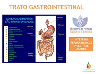 TRATO GASTROINTESTINAL
INTESTINO
PERMEABILIDADE
INTESTINAL
DISBIOSE
 
