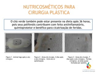 Figura 3 - Áreas de cirurgia, 7
dias após o ato cirúrgico. Feridas
cirúrgicas já estão quase
fechadas por epitélio.
Figura 2 – Áreas de cirurgia, 3 dias após
o ato cirúrgico. Início da re-
epitelização;
Figura 1 – Animal logo após o ato
cirúrgico
O chá verde também pode estar presente na dieta após 36 horas,
pois seus polifenóis contribuem com feito antiinflamatório,
quimioprotetor e benéfico para cicatrização de feridas.
NUTRICOSMÉTICOS PARA
CIRURGIA PLÁSTICA
 