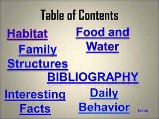 Table of Contents home 