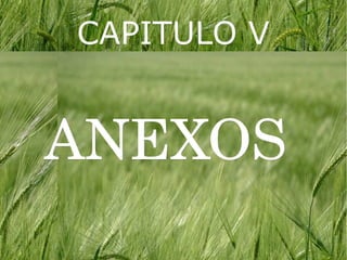 CAPITULO V


ANEXOS 
 