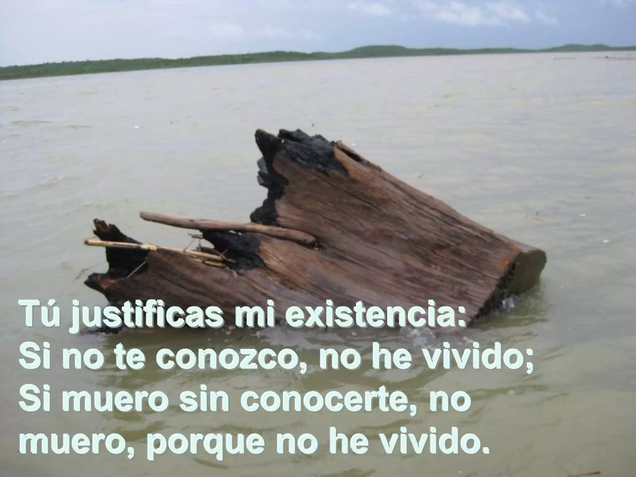 Tú justificas mi existencia:
Si no te conozco, no he vivido;
Si muero sin conocerte, no
muero, porque no he vivido.
 