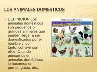 LOS ANIMALES DOMESTICOS
 DEFINICION:Los
animales domésticos
son pequeños o
grandes animales que
pueden llegar a ser
domesticados por el
hombre y, por
tanto, convivir con
ellos. Cuando
pensamos en
animales domésticos
lo hacemos en
perros, gatos, etc.,
 