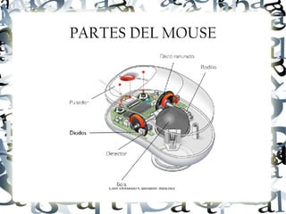 Luis Donaldo Caamaño Sanchez
PARTES DEL MOUSE
 