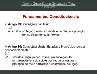 Fundamentos Constitucionais Artigo 23:  atribuições da União (...) Inciso VI – proteger o meio ambiente e combater a poluição  em qualquer de suas formas; Artigo 24:  Compete a União, Estados e Municípios legislar concorrentemente: (...) VI – florestas, caça, pesca, fauna, conservação da natureza, defesa do solo e dos recursos naturais, proteção do meio ambiente e controle da poluição; 