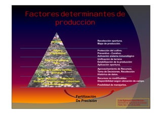 Factores determinantes de
producción
Plagas y
Enfermedades
COSECHA
Protección del cultivo.
Preventivo - Curativo.
Activación sistema inmunológico
Recolección oportuna.
Mapa de producción.
Suelo – Radiación – Temperatura –
Humedad – Precipitaciones – Fotoperíodo
– limitaciones permanentes
Fecha de siembra, variedad,
Densidad
Nutrición de cultivo y
Riego
Recursos no modificables:
Disponibilidad según ubicación de campo.
Posibilidad de manejarlos.
Aprovechamiento de Recursos.
Toma de Decisiones. Recolección
Histórica de datos.
Unificación de terreno
Estabilización de la producción
Aplicación oportuna.
Activación sistema inmunológico
Luis Eghmad Yamil Rincón
Seminario de Agricultura de precisión.
Pasto, Nov. 19 – 20 de 2009.
Fertilización
De Precisión.
 