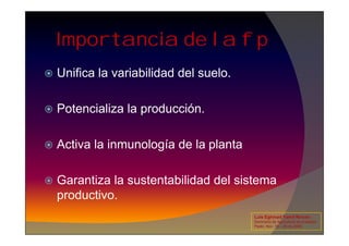 Importancia de la f p
 Unifica la variabilidad del suelo.
 Potencializa la producción.
 Activa la inmunología de la planta
 Garantiza la sustentabilidad del sistema
productivo.
Luis Eghmad Yamil Rincón
Seminario de Agricultura de precisión.
Pasto, Nov. 19 – 20 de 2009.
 