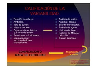 CALIFICACIÓN DE LA
VARIABILIDAD.
 Posición en relieve.
 Ambiente.
 Tipo de suelos.
 Historia del lote.
 Características físico –
químicas del suelo.
Relaciones nutricionales.
 Análisis de suelos.
 Análisis Foliares.
 Estudio de calicatas.
 Análisis de aguas.
 Historia del Lote.
 Sistema de Manejo
del cultivo.
Herramientas
 Relaciones nutricionales.
 Interpretación y
recomendaciones
promediadas.
del cultivo.
 Datos Históricos.
Recolección
De datos
ZONIFICACIÓN Ó
MAPA DE FERTILIDAD
Luis Eghmad Yamil Rincón
Seminario de Agricultura de precisión.
Pasto, Nov. 19 – 20 de 2009.
 