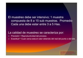 El muestreo debe ser intensivo; 1 muestra
compuesta de 8 a 15 sub muestras. Promedio
Cada una debe estar entre 3 a 5 Has.
La calidad de muestreo se caracteriza por:
 Precisión Reproductividad del proceso.
 Exactitud Cuan cerca esta el valor obtenido del real del punto o del lote.
Luis Eghmad Yamil Rincón
Seminario de Agricultura de precisión.
Pasto, Nov. 19 – 20 de 2009.
 