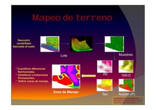 Mapeo de terreno
Lote Muestreo
Descubrir
variabilidad
Asociada al suelo
Lote Muestreo
Ph %M:O
Tex. Nutrien (P)
* Cuantificar diferencias
Nutricionales.
* Establecer Limitaciones
Permanentes.
* Definir zonas de manejo.
Zona de Manejo
Luis Eghmad Yamil Rincón
Seminario de Agricultura de precisión.
Pasto, Nov. 19 – 20 de 2009.
 