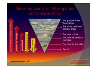 Niveles para el Manejo de
sitio específico
Por grandes áreas
Geográficas
Por zonas dentro de
grandes áreas
Por Nivel predial.
Unidades
de
manejo
Mayor
Tamaño
de
área
de
recomendación
Toma
de
decisiones.
Luis Eghmad Yamil Rincón
Seminario de Agricultura de precisión.
Pasto, Nov. 19 – 20 de 2009.
Por Nivel predial.
Por Nivel de campo o
por lotes.
Por Nivel de sub lotes
Por m2
Variabilidad
Unidades
de
manejo
Mayor
Tamaño
de
área
de
recomendación
Mayor
nivel
de
precisión
Toma
de
decisiones
Adaptado de Ortega, R., 2007
 